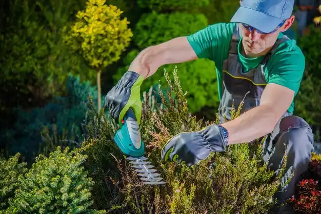 landscaping services Vine Grove